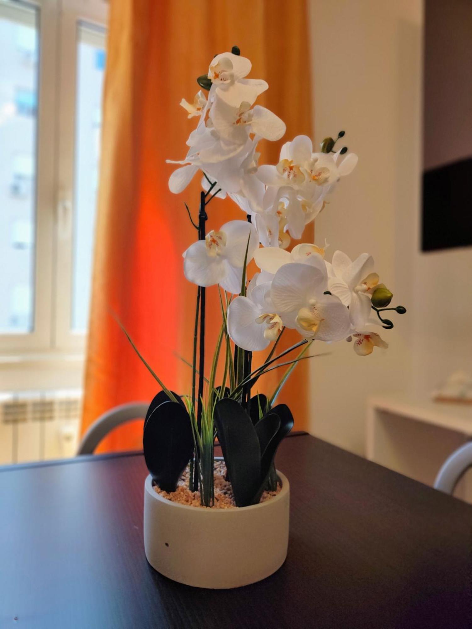 Casa Roma Marconi 아파트 외부 사진